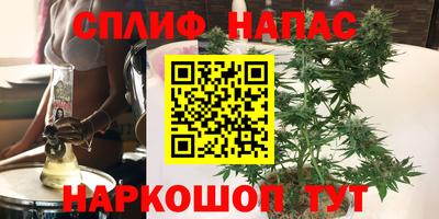 mdma Камышлов