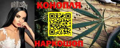 гашик Канаш